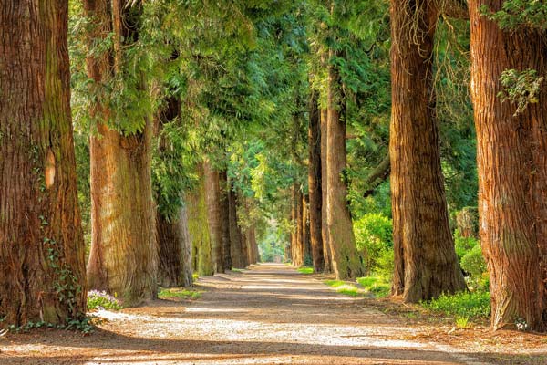 Natur rund um die Weihermühle
